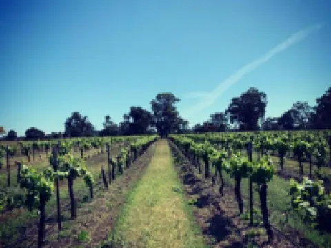 Copper Creek Retreat - Sleep Next Door to the Lions Hotels in Nulkaba