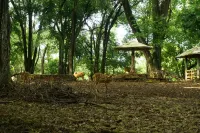 SIHA飯店管理的Kasmaran伊斯蘭旅館