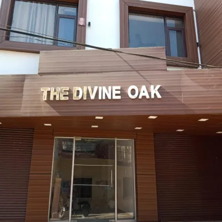 The Divine Oak