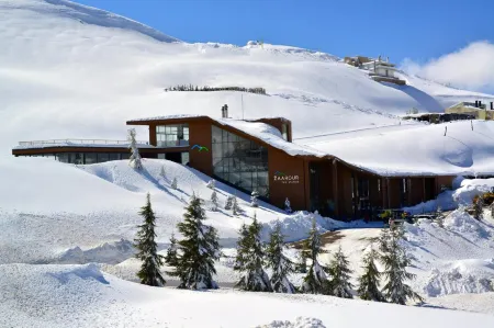 Le Grand Chalet Zaarour