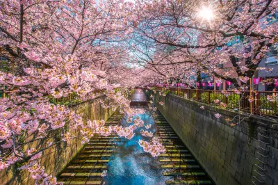 東京澀谷西福朋喜來登飯店 東京住宿飯店