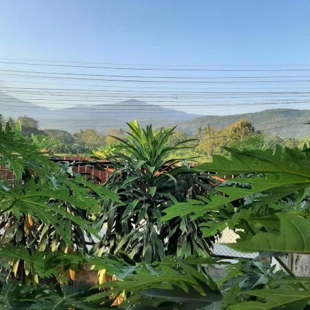 Baan Berm Maerim