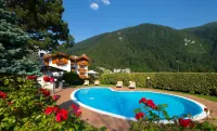 Hotel Du Lac Molveno - piscina