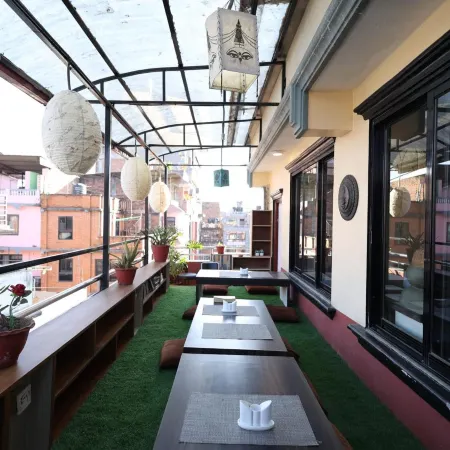 Bed and pillow hostel