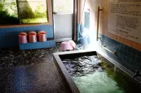 旅館ふじとみた - 温泉