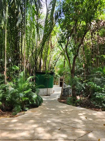 รูปภาพของฮิดเดนวูดส์