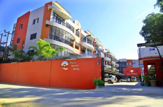 Palm Beach Hotel Hotels in 