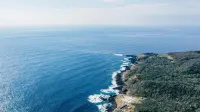 Shimayado Kanasa - Wi-Fi