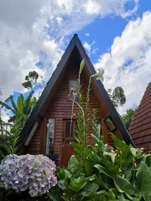 Wind's Cabin