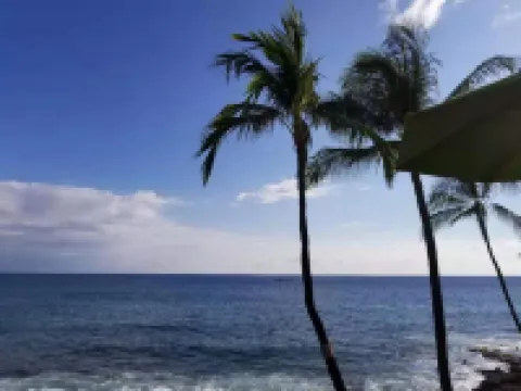 ボルケーノ フォレスト イン ボルケーノのホテル