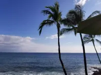 火山森林住宿加早餐旅館