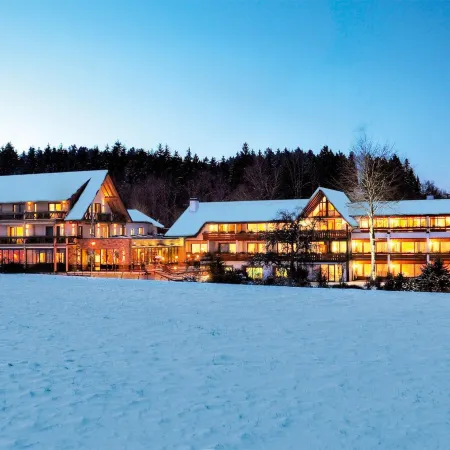 Hotel Grüner Wald