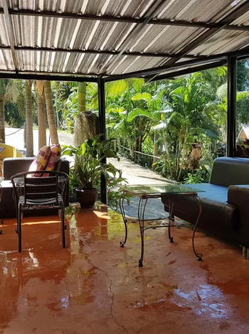 รูปภาพของช้างปาย