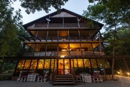 Green Wood (Грин Вуд)