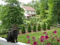 Wilson Lake Inn Hotels in Franklin County