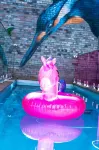 Brisbane Quarters - Pools