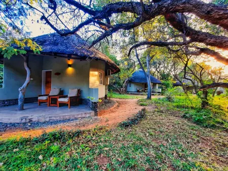 Sefapane Lodge and Safaris