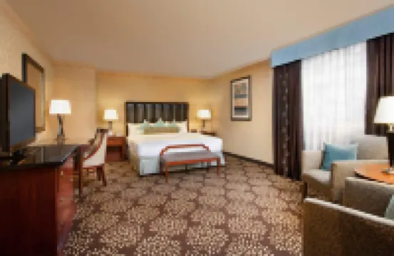 馬戲團酒店- 及主題公園