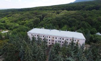 Zhemchuzhina Kavkaza