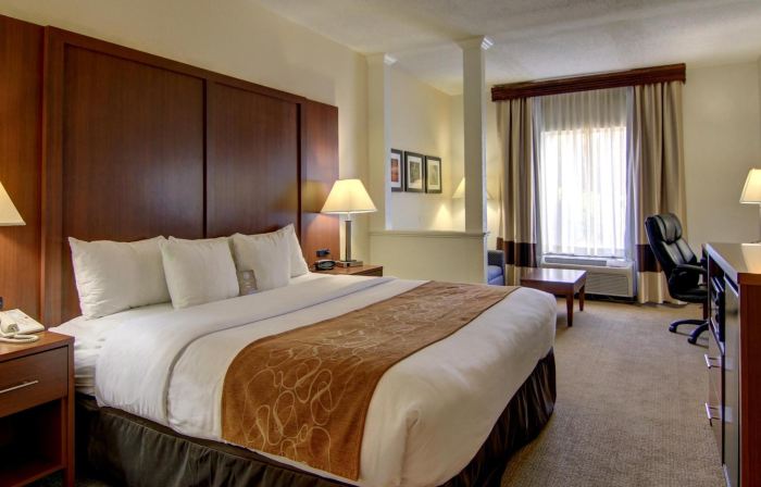 Comfort Suites Cumming-Atlanta Near Northside Hospital Forsyth