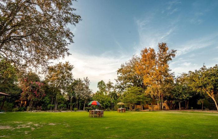 Mahua Vann Pench