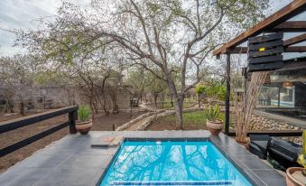 Foxy Crocodile Bush Lodge & Kruger Safari's - No Loadshedding