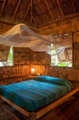 The Forest Elephant - Formerly Known As the Flying Elephant Hotels in 