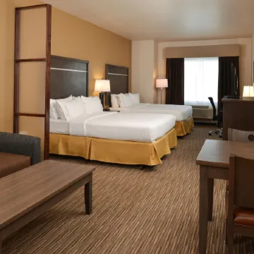 Holiday Inn Express & Suites GLOBE by IHG