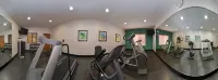 Holiday Inn Express & Suites OMAHA WEST by IHG - gimnasio