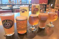 Holiday Inn TOLEDO-MAUMEE (I-80/90) by IHG - bar