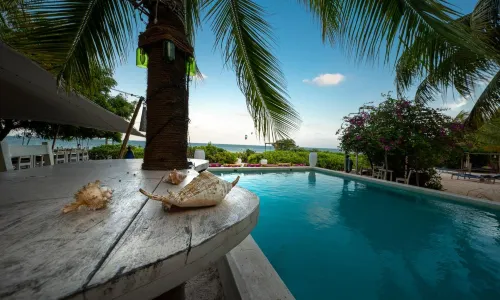 Sharazad Oasis Retreat