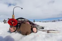 Arctic Raja Inn, Next to Norwegian Border