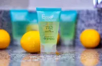 Turlock Inn Hotels in Turlock