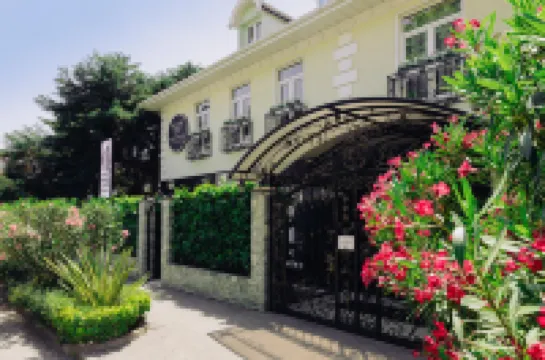 Green House Detox & SPA Hotel (Грин Хаус Детокс и Спа) Отели в г. 