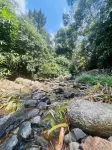 Mount Court Munnar - Pensions
