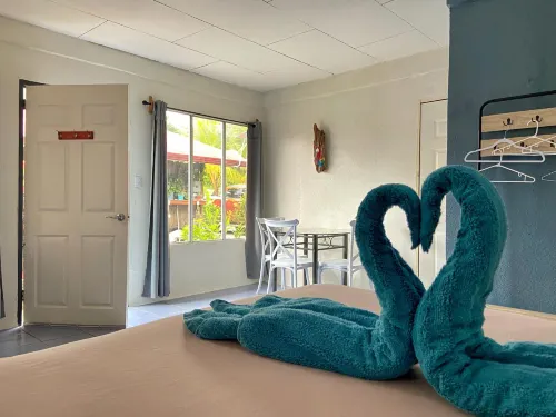 Rooms & Pool Macaws