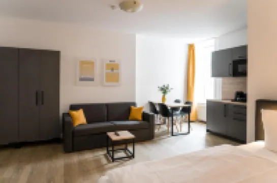 Homaris Boxi Studios