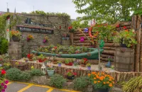 Bush Hotel Hotels in 