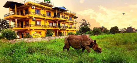 Hotel National Park Sauraha- Homely Stay and Peaceful Location with Jungle Safari Arrangements