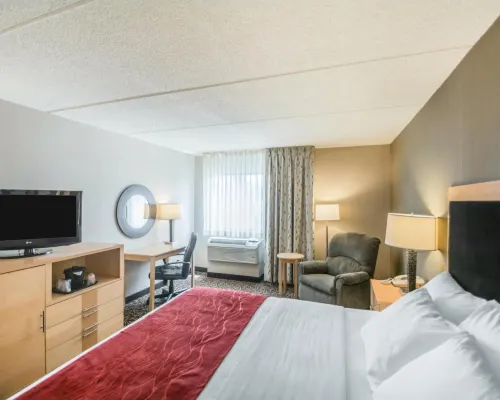 Comfort Inn - Nys Fairgrounds Hotel a Lysander