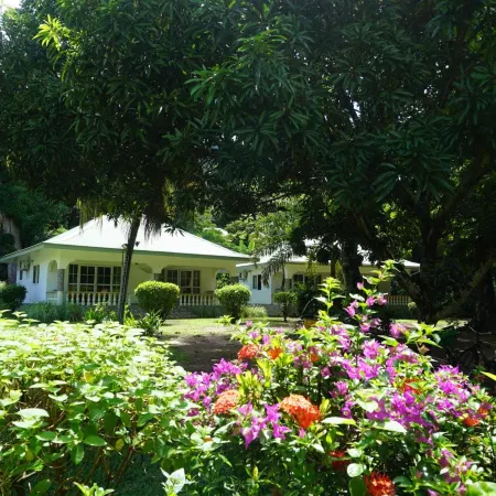 Chalet Bamboo Vert