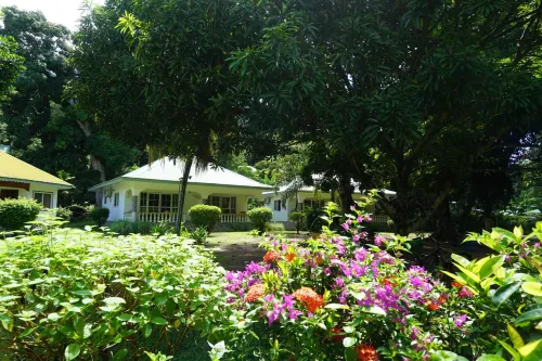 Chalet Bamboo Vert - Pensionat
