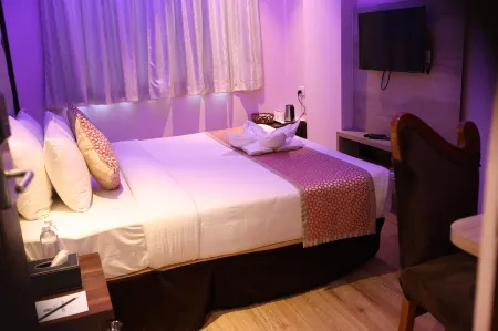 Npg Hotel Bangalore