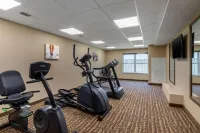 Comfort Inn & Suites Northern Kentucky - Gym