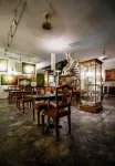 Atelier Kandy - Boutique Art Hotel & Gallery