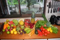 South Pacific Bed & Breakfast - breakfast