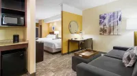 SpringHill Suites Wheeling Triadelphia Area - parking