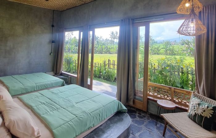 Sawah Ijen & Guest House Banyuwangi