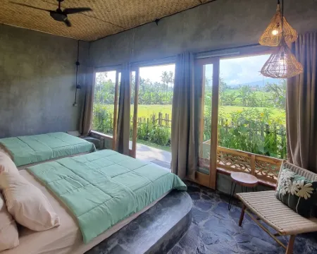 Sawah Ijen & Guest House Banyuwangi Hotels in Licin