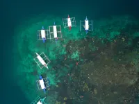 My Green Hostel Hotels in San Vicente